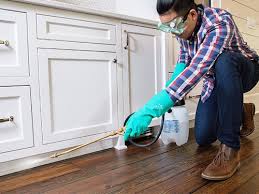 Best Pest Exclusion Services  in Kdeer, IL